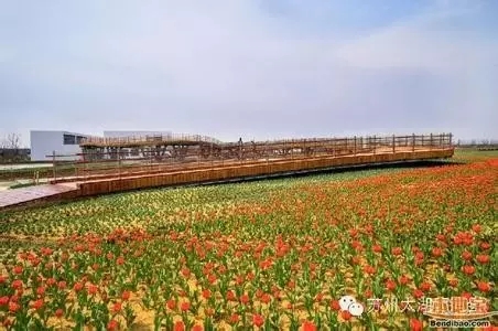 大脑地图常熟港澳城中心